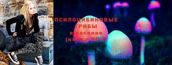 PSILOCYBIN Волоколамск